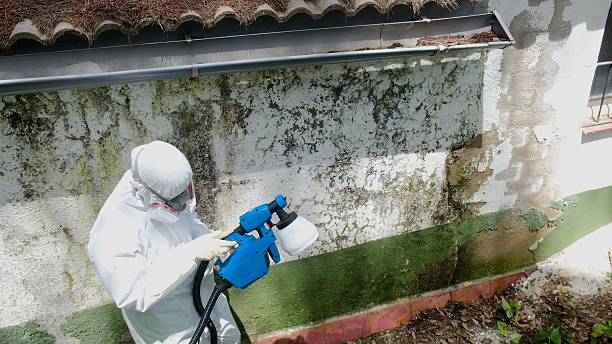 Top rated local Hvac And Air Duct Mold Remediation specialists in Clifton, TN